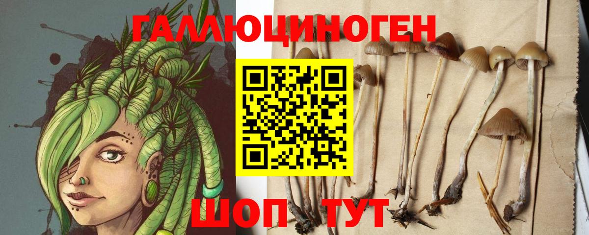 Псилоцибиновые грибы Cubensis  Вход с VPN  Губкинский  Галлюциногенные грибы Magic Shrooms 