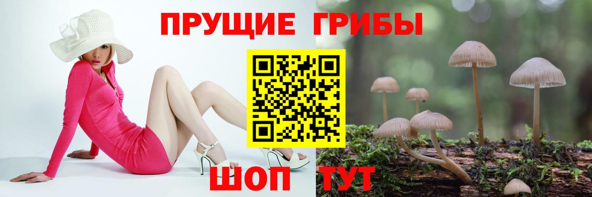 Галлюциногенные грибы мицелий Губкинский